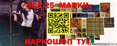 Альфа ПВП Аргун