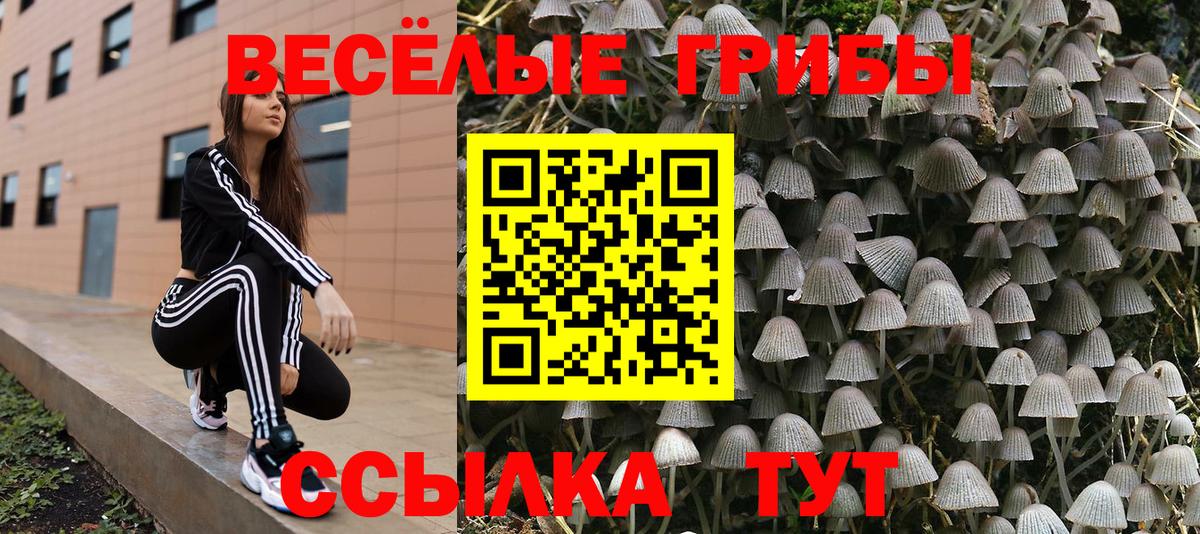Галлюциногенные грибы Cubensis Воронеж
